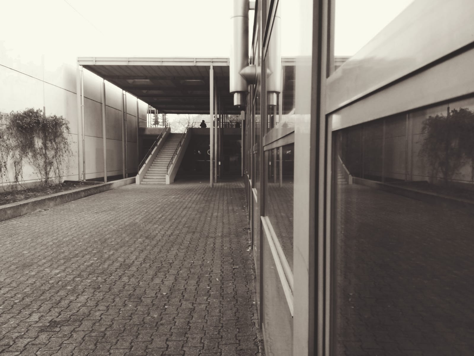 Remember the Good Times #5